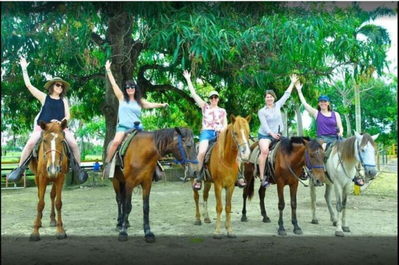 Half-day cultural safari to Higüey with lunch - FAQ