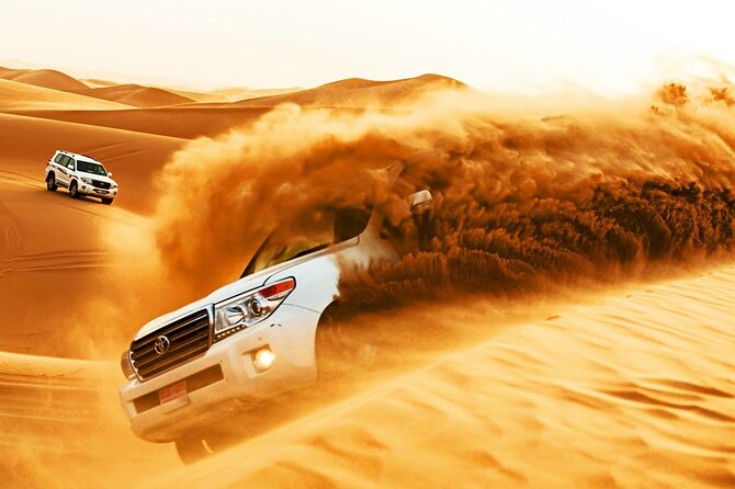 Half-Day Desert Safari Tour in Dubai - Good To Know