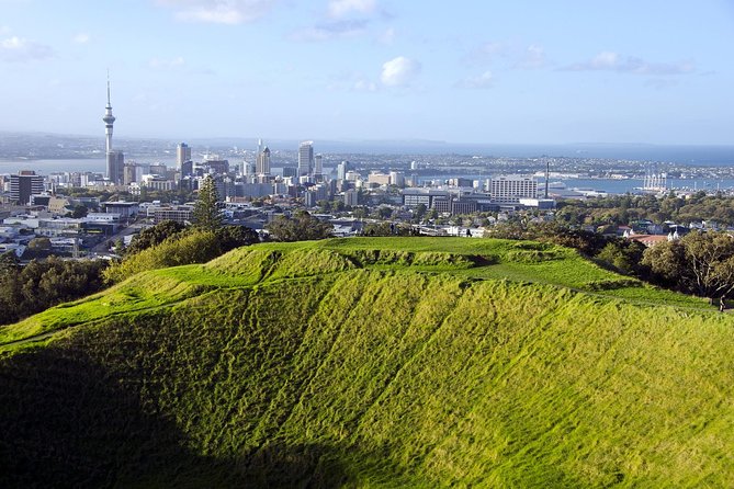 Half-day Discover Auckland City Sightseeing Tour - Accessibility Features