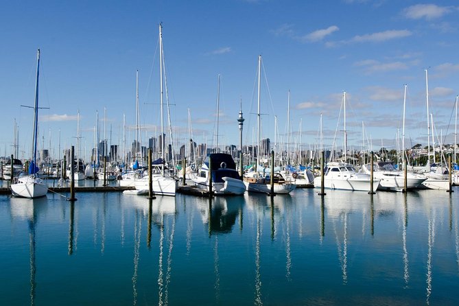 Half-day Discover Auckland City Sightseeing Tour - Recommendations