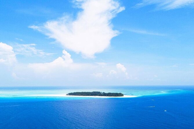 Half-Day Dolphin & Snorkeling Tour in Mnemba Island Zanzibar - Tips for Tour Participants