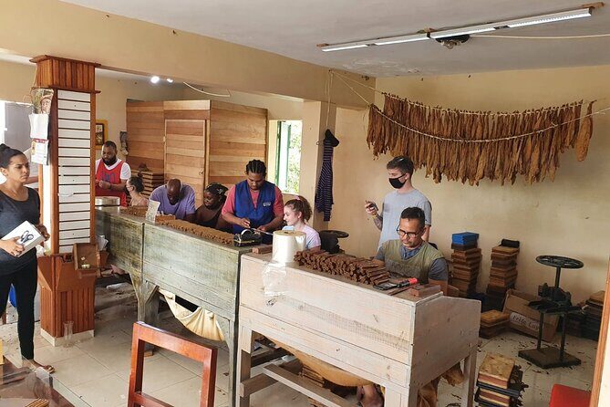 Half Day Dominican Safari for all Family - Who Will Enjoy This Tour?