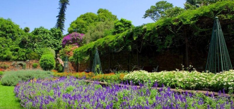 Half-day Durban City Tour - Itinerary Highlights