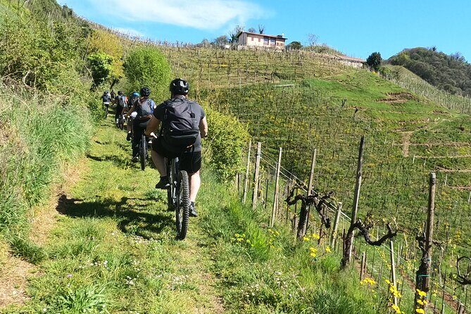 Half-Day E-Bike Tour in Prosecco Hills with Prosecco Tasting - Why Choose This Tour?