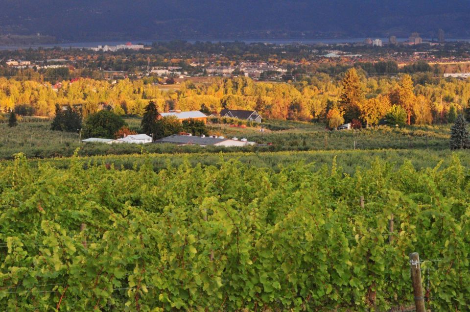 Half-Day East Kelowna Wine Tour - Pickup and Itinerary