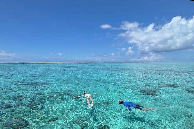 Half day Eco Snorkeling small group Tour in Bora Bora - Key Points