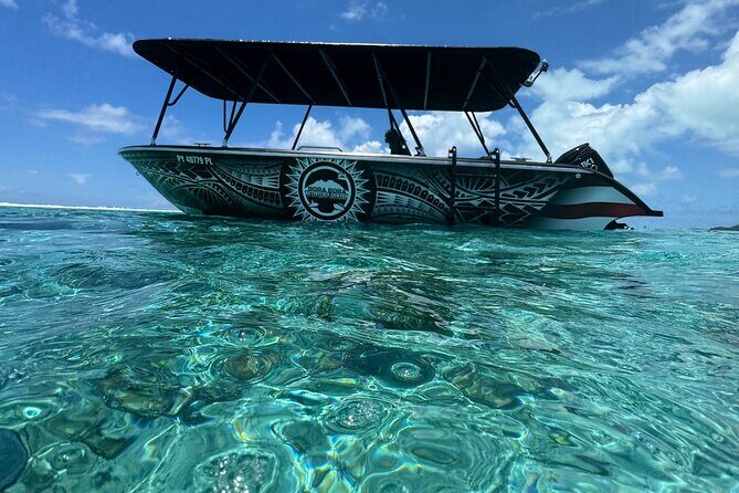 Half day Eco Snorkeling small group Tour in Bora Bora - Who Should Consider This Tour?