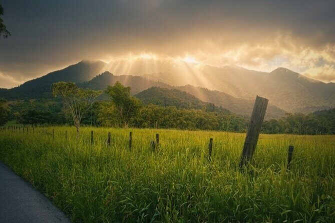 Half Day El Yunque Tour, Waterslide and Rope Swing - Key Points