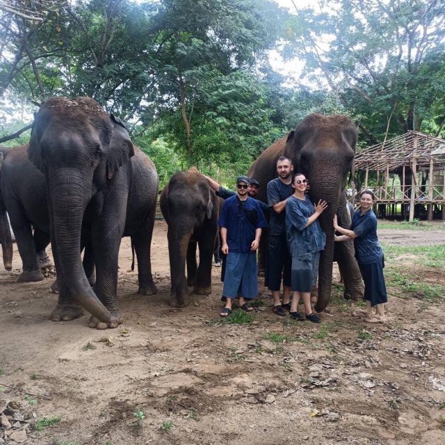 Half Day Elephant Care - Pricing and Booking