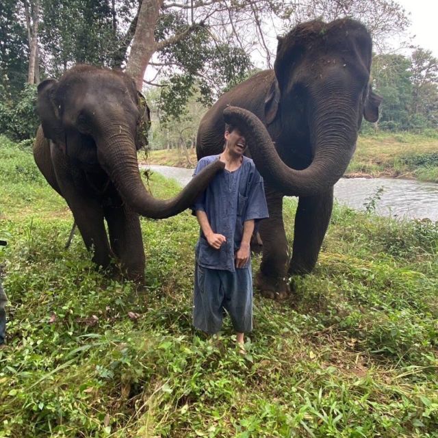 Half Day Elephant Care - Pickup and Drop-off