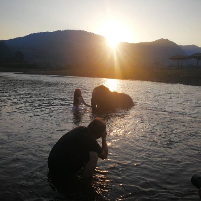 Half Day Elephant Care - Frequently Asked Questions