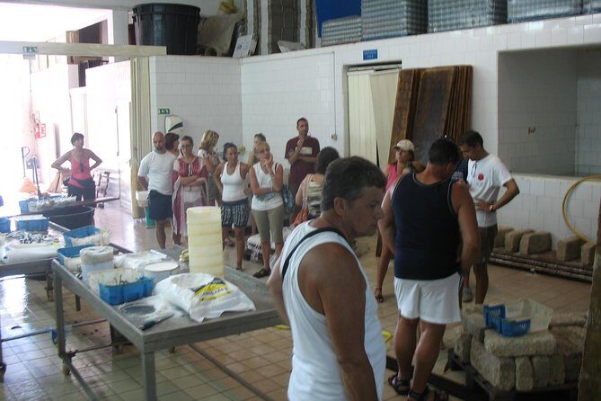HALF DAY excursion - Marzamemi and Capo Passero by Boat - In-Depth Review of the Tour Experience