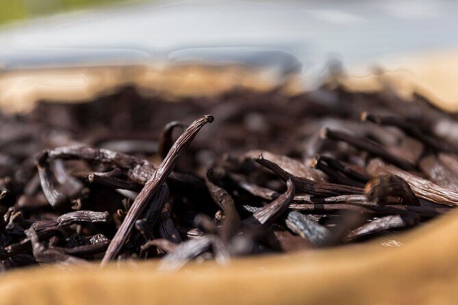 Half day excursion Tahaa - departure Raiatea / ideal cruise line - Introduction