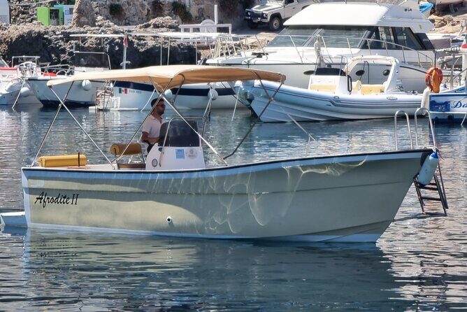 Half Day Excursion to the Marine Reserve of Marettimo - Logistics and Practicalities