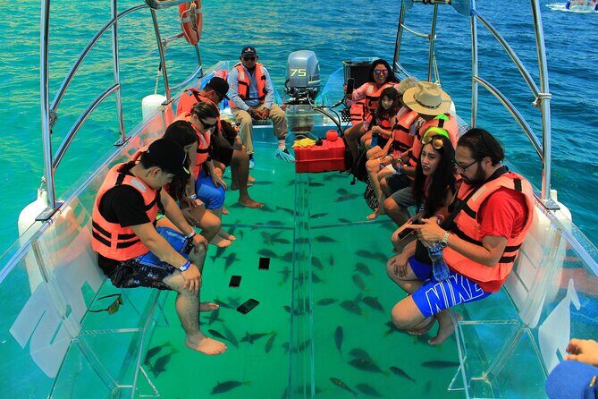 Half-Day Exploring the Arch of Cabo San Lucas Guided Tour - Transportation, Timing, and Group Size