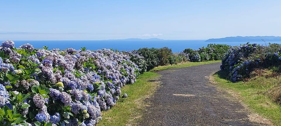 Half Day Faial Island Tour - Who Would Love This Tour?