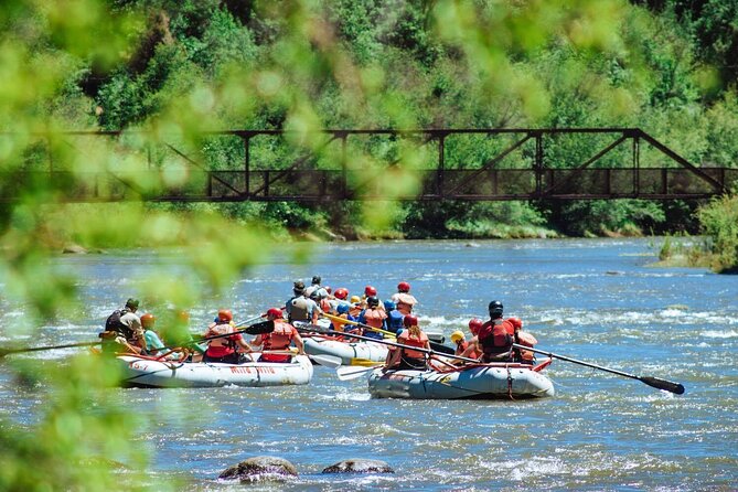 Half-Day Family Rafting in Durango, Colorado - Reviews