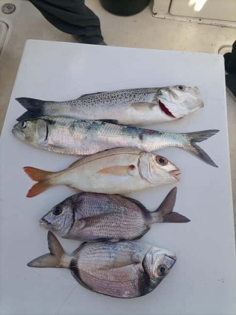 Half Day Fishing Trip - Introduction