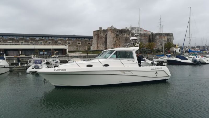 Half Day Fishing Trip - Who Will Love This Tour?