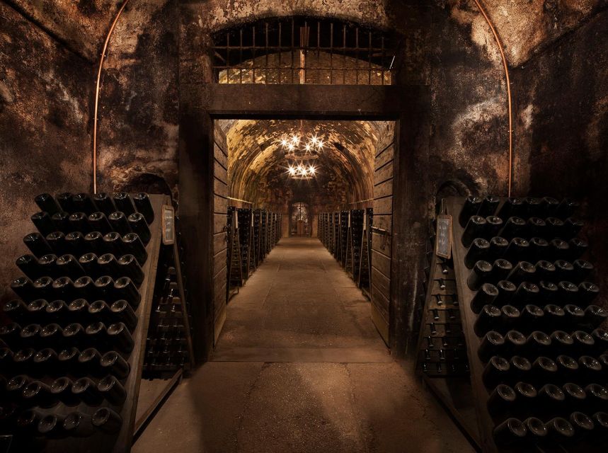 Half-Day Food and Wine Experience in Franciacorta - Tour Overview