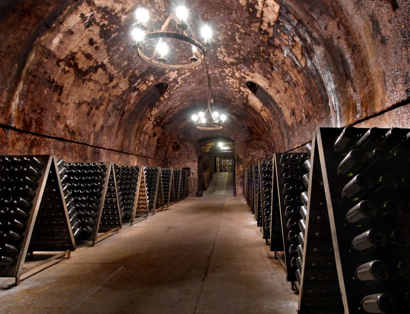 Half-Day Food and Wine Experience in Franciacorta - Winery Visit Experience