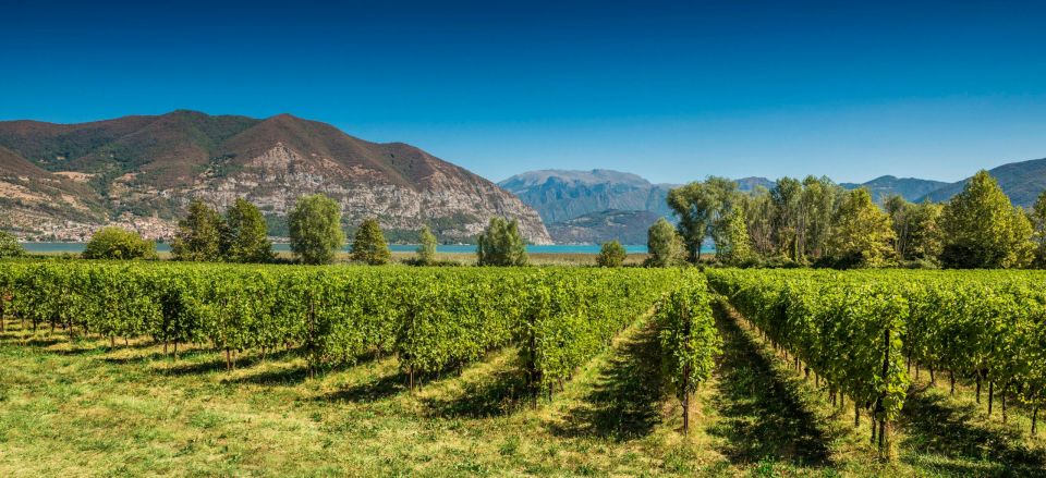 Half-Day Food and Wine Experience in Franciacorta - Traditional Meal Highlights