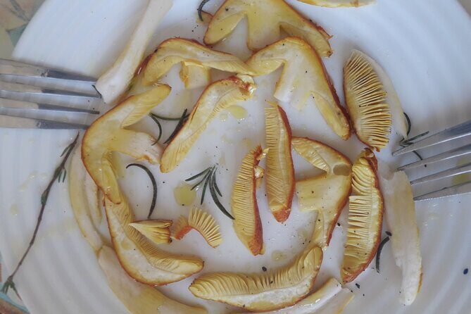 Half Day Gastronomic Wild Walk in Girona - An In-Depth Look at the Wild Walk Experience