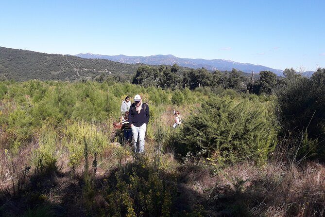 Half Day Gastronomic Wild Walk in Girona - Why the Price Reflects Value