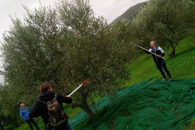 Half-Day Georgioupolis Off-Road Adventure with Meal - A Detailed Look at the Half-Day Georgioupolis Off-Road Adventure