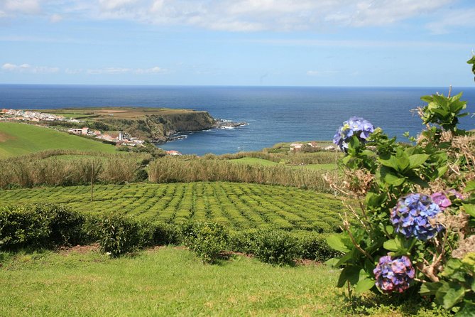 Half Day Gorreana - Pedestrian Walk and Tea Tasting (Min. 2 Persons) - Additional Information