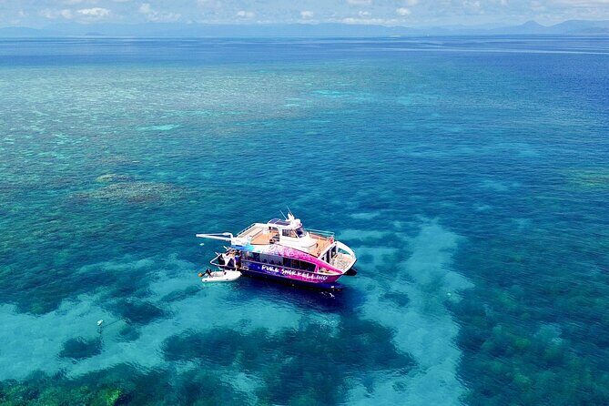 Half Day Great Barrier Reef Snorkeling Tour - The Real Value of This Reef Tour