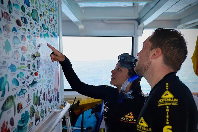 Half Day Great Barrier Reef Snorkeling Tour - Final Thoughts