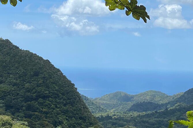 Half Day Grenada Seven Sisters, Grand Etang Nature Center Hiking Tour - Key Points