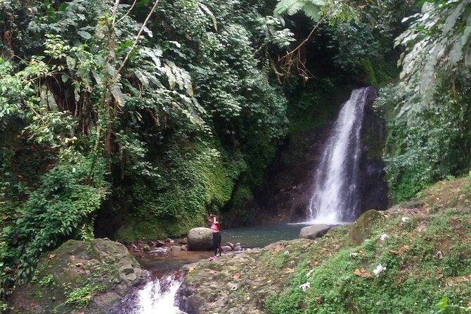 Half Day Grenada Seven Sisters, Grand Etang Nature Center Hiking Tour - Discovering Grenada’s Natural Wonders