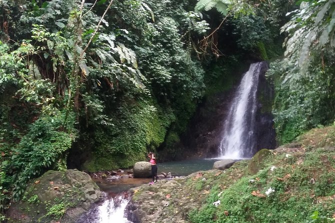 Half Day Grenada Seven Sisters, Grand Etang Nature Center Hiking Tour - Itinerary Highlights