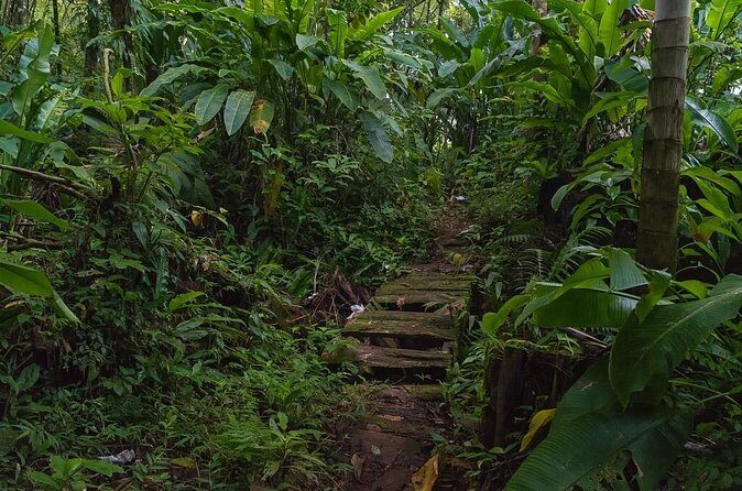 Half Day Grenada Sunshine Highlights Tour - The Experience’s Value: Balancing Cost and Content