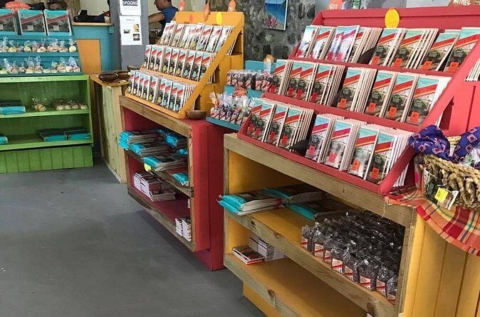 Half Day Grenada Sunshine Highlights Tour - Considering the Drawbacks