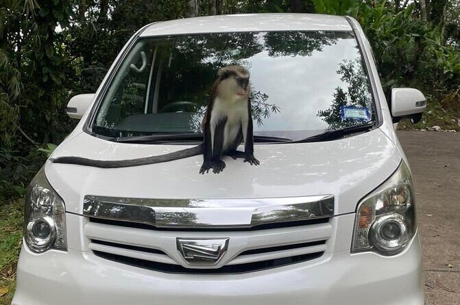 Half-Day Grenada Tour With Easy - Final Thoughts: Is It Worth It?