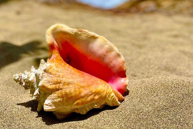 Half-Day Grenada Tour With Easy - FAQ