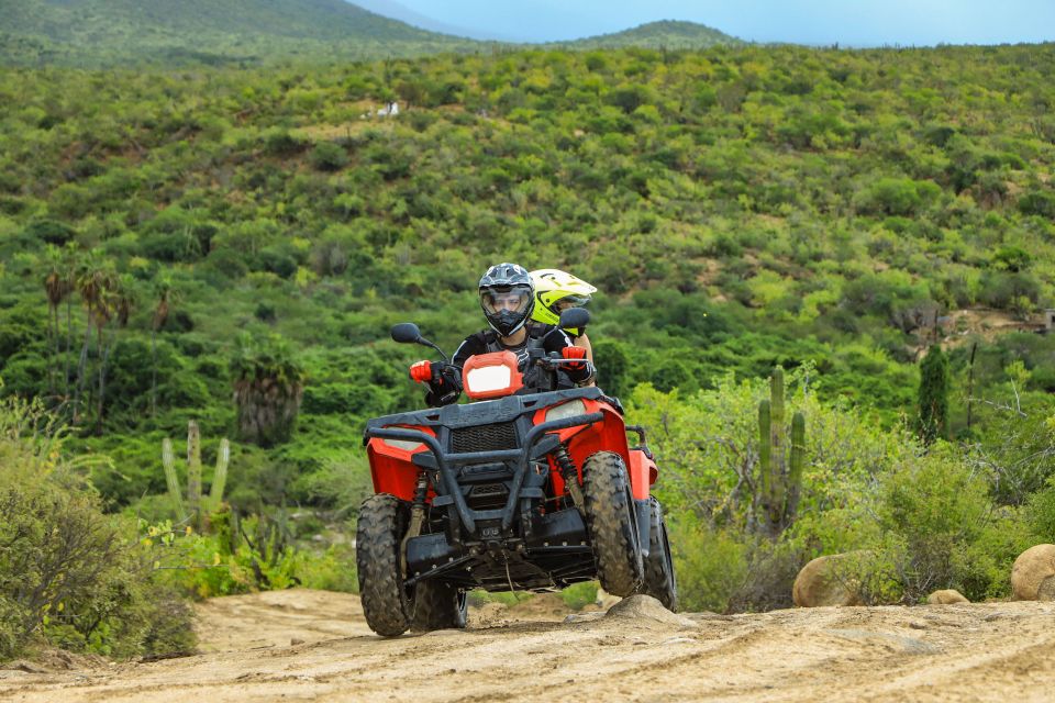 Half-Day Guided ATV Tour at Migrino Area - Highlights