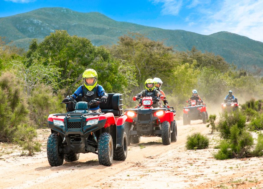 Half-Day Guided ATV Tour at Migrino Area - What to Expect