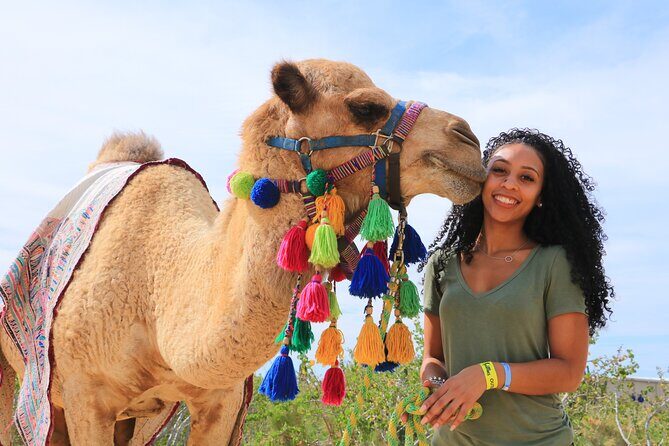 Half Day Guided Camel Safari in Cabo San Lucas - Frequently Asked Questions