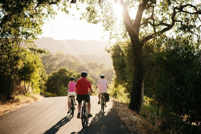 Half Day Guided Electric Bike Wine Tasting Tour with Lunch - Key Points