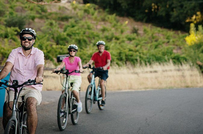 Half Day Guided Electric Bike Wine Tasting Tour with Lunch - Who Would Love This Tour?