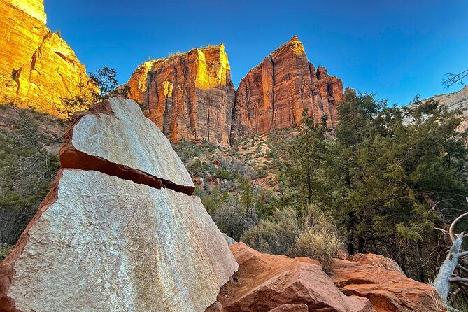 Half Day Guided Hike in Zion National Park - The Value of the Experience