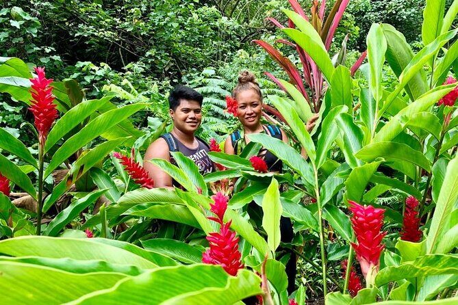 Half-Day Guided Hike to Afareaitu Waterfall - What to Expect from the Experience