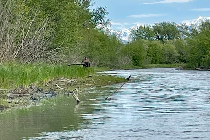 Half-Day Guided Kayak Tour on Knik River - Customer Reviews and Feedback