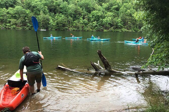 Half-Day Guided Kayaking in the Smoky Mountains of Tallassee - An In-Depth Look at the Kayaking Experience in Tallassee