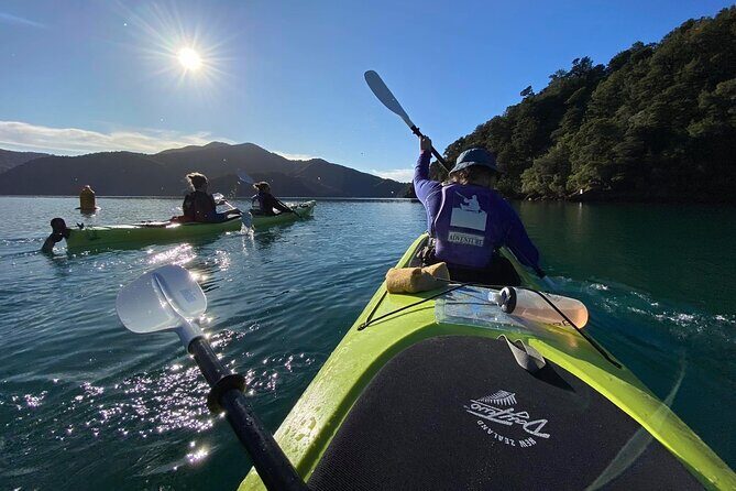 Half-Day Guided Sea Kayak Trip from Picton - Who Should Book This Tour?