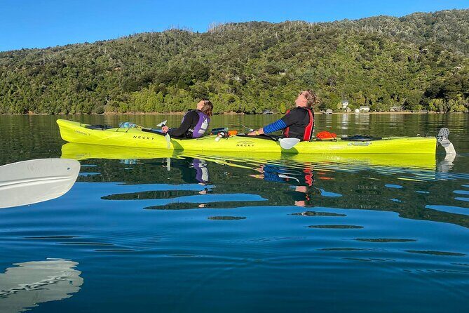 Half-Day Guided Sea Kayak Trip from Picton - FAQ